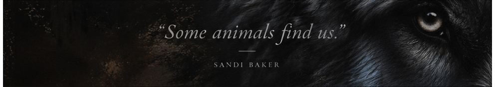A banner with a black wolf showing one eye looking at the viewer, there is text tht says 'some animals find us' - sandi baker